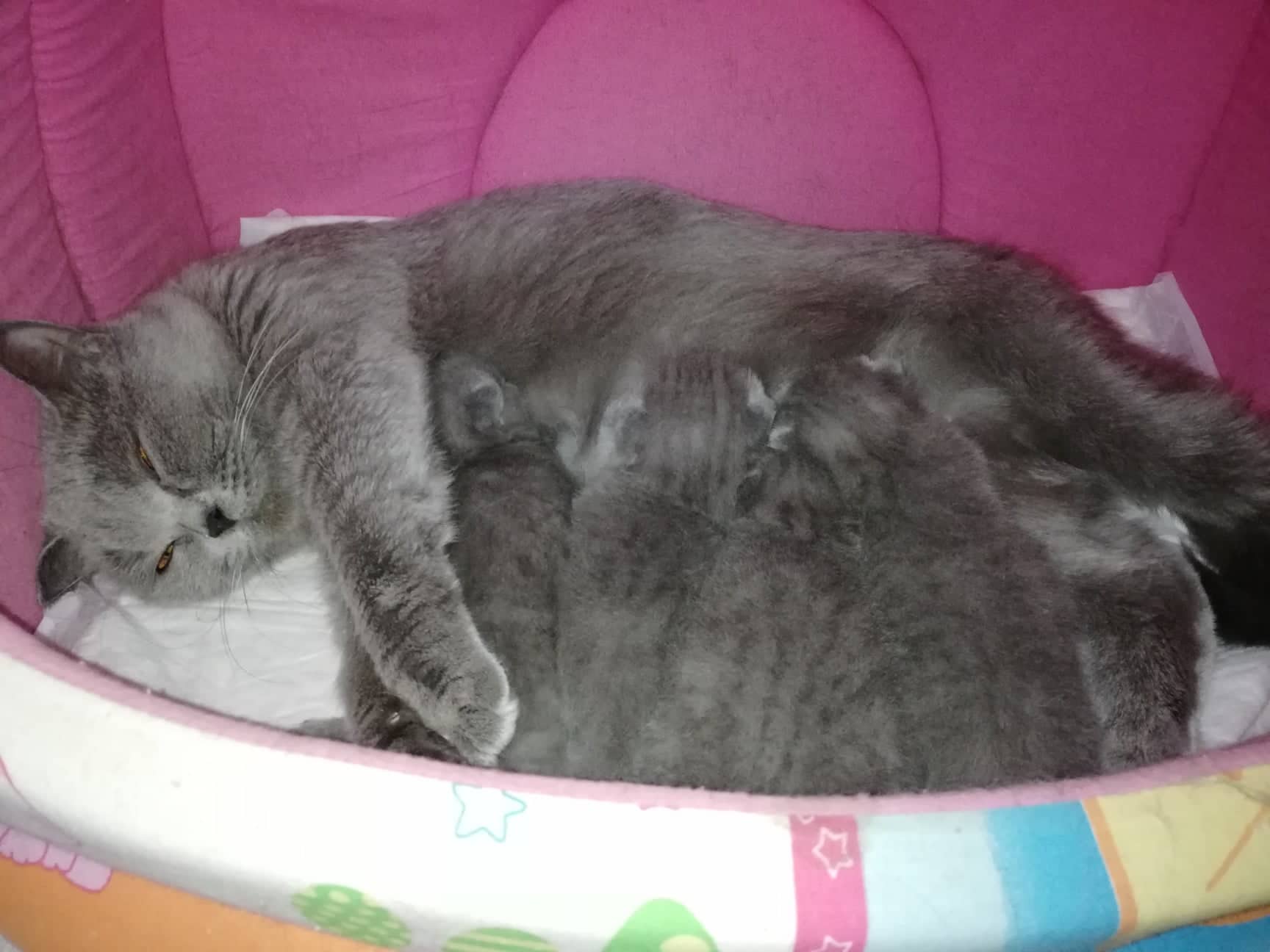новогодний подарок